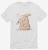 Adorable Happy Little Rabbit Shirt 666x695.jpg?v=1700303545
