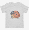 Adorable Insect Ladybug Toddler Shirt 666x695.jpg?v=1700296797
