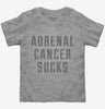 Adrenal Cancer Sucks Toddler