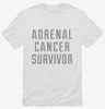 Adrenal Cancer Survivor Shirt 666x695.jpg?v=1700489262