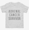 Adrenal Cancer Survivor Toddler Shirt 666x695.jpg?v=1700489262