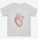 Anatomical Heart white Toddler Tee