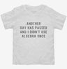 Another Day Has Passed And I Didnt Use Algebra Once Toddler Shirt 666x695.jpg?v=1700657137