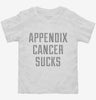 Appendix Cancer Sucks Toddler Shirt 666x695.jpg?v=1700487774