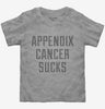 Appendix Cancer Sucks Toddler