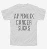 Appendix Cancer Sucks Youth