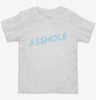 Asshole Toddler Shirt 666x695.jpg?v=1700656964
