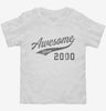 Awesome Since 2000 Birthday Toddler Shirt 666x695.jpg?v=1700349698