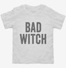 Bad Witch Toddler Shirt 666x695.jpg?v=1700406057