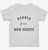 Banned From Mom Groups Toddler Shirt 666x695.jpg?v=1700371439