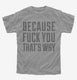 Because Fuck You That's Why grey Youth Tee