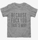 Because Fuck You That's Why grey Toddler Tee