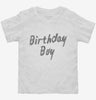 Birthday Boy Toddler Shirt 666x695.jpg?v=1700506578
