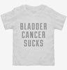 Bladder Cancer Sucks Toddler Shirt 666x695.jpg?v=1700513847