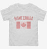 Blame Canada Toddler Shirt 666x695.jpg?v=1700488214