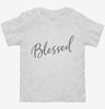Blessed Toddler Shirt 666x695.jpg?v=1700369297