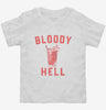 Bloody Hell Day Drinking Bloody Mary Toddler Shirt 666x695.jpg?v=1700292037