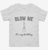 Blow Me Its My Birthday Toddler Shirt 666x695.jpg?v=1700469020