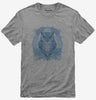 Blue Owl Graphic