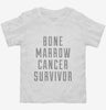 Bone Marrow Cancer Survivor Toddler Shirt 666x695.jpg?v=1700499870
