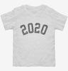 Born In 2020 Toddler Shirt 666x695.jpg?v=1700316483