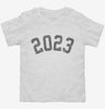 Born In 2023 Toddler Shirt 666x695.jpg?v=1700316350