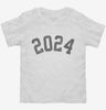 Born In 2024 Toddler Shirt 666x695.jpg?v=1700316299