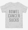 Bowel Cancer Sucks Toddler Shirt 666x695.jpg?v=1700488547