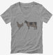Brown Chicken Brown Cow  Womens V-Neck Tee