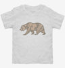 California Bear Toddler Shirt 666x695.jpg?v=1700654133