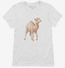 Camel Womens Shirt 666x695.jpg?v=1700301784