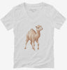 Camel Womens Vneck Shirt 666x695.jpg?v=1700301784