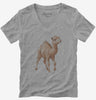 Camel Womens Vneck