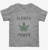 Cannabis Flower Power Toddler Tshirt 80a9cb4b-0983-4558-a4af-b6371bc9f79b 666x695.jpg?v=1700580490