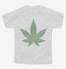 Cannabis Leaf Pot Marijuana Youth