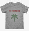 Cannabis Mistletoe Mistlestoned Toddler Tshirt 4b27e63b-948e-4d50-aad9-5ef756063026 666x695.jpg?v=1700580444