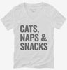 Cats Naps And Snacks Womens Vneck Shirt 666x695.jpg?v=1700414799