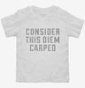 Consider This Diem Carped Toddler Shirt 666x695.jpg?v=1700652505