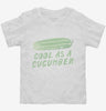 Cool As A Cucumber Toddler Shirt 666x695.jpg?v=1700469772