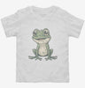 Cool Frog Toddler Shirt 666x695.jpg?v=1700299245