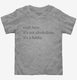 Craft Beer It's Not Alcoholism It's A Hobby grey Toddler Tee