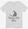Crazy Cat Dad Womens Vneck Shirt 666x695.jpg?v=1700482986