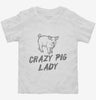 Crazy Pig Lady Toddler Shirt 666x695.jpg?v=1700488119