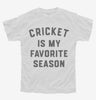 Cricket Is My Favorite Season Youth