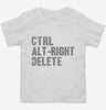 Ctrl Alt Right Delete Toddler Shirt 666x695.jpg?v=1700498993