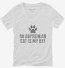 Cute Abyssinian Cat Breed Womens Vneck Shirt 666x695.jpg?v=1700428792