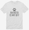 Cute Akita Dog Breed Shirt 666x695.jpg?v=1700482148