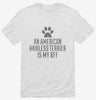 Cute American Hairless Terrier Dog Breed Shirt 666x695.jpg?v=1700512925