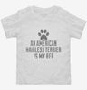 Cute American Hairless Terrier Dog Breed Toddler Shirt 666x695.jpg?v=1700512925