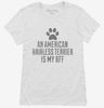 Cute American Hairless Terrier Dog Breed Womens Shirt 666x695.jpg?v=1700512925